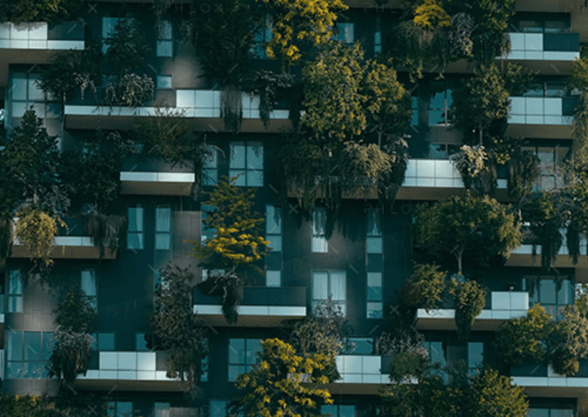 demo-attachment-2199-pexels-francesco-ungaro-4322027